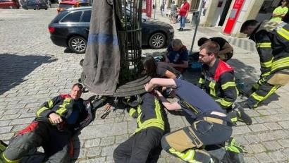 Bild: Feuerwehr Kelheim-Stadt 
Die Feuerwehr Kelheim-Stadt rettet einen Hund aus einem Baumschutzgitter.