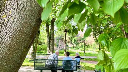 Bild: Gabi Schönberger
Bei hohen Temperaturen empfiehlt die Stadt, sich tagsüber in schattigen Bereichen aufzuhalten. Zum Beispiel unter Bäumen wie hier im Max-Reger-Park.