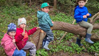 Bild: xs
Die Waldtage des Pressather Kindergartens auf der Dreisteinhütte waren für die Kinder eine willkommene Abwechslung im Kindergartenalltag und brachten viele neue Eindrücke
