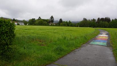 Bild: bkr
Ein Getreidefeld zwischen Kirche und Kulmainer Straße soll Baugebiet für einen Ortskern werden. Das Landratsamt lehnt es wegen der Nähe zu Trassl-Plastik ab. Mindestens 150 Meter trennen das gewünschte Baugebiet und die Industrieanlage. Deren Schornstein (Hintergrund) mit dem Storchennest ist von der Kirche aus zu erkennen.