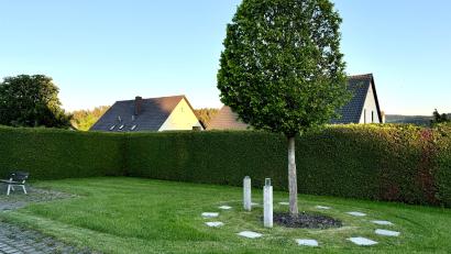 Bild: Eichl
Der bisher eher spartanisch gehaltene Urnenhain auf dem Friedhof soll mit verschiedenen neuen Elementen ansprechender gestaltet werden.