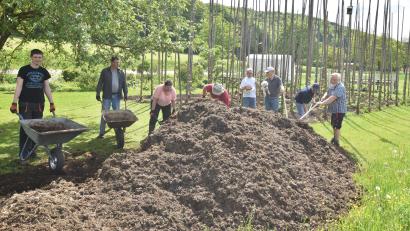 Bild: no
Ausgerüstet mit Schubkarren, Schaufel und Gabel halfen Mitglieder des Gartenbauvereins Illschwang, den angelieferten Biomist auf dem Hopfenfeld zu verteilen.