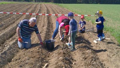 Bild: Michaela Schmidt/exb
Loch in die Erde, Kartoffel rein, Erde darüber. Die Kinder werden nun laufend nachschauen, was aus den Kartoffeln geworden ist, bis sie sie im Herbst gemeinsam ernten können.