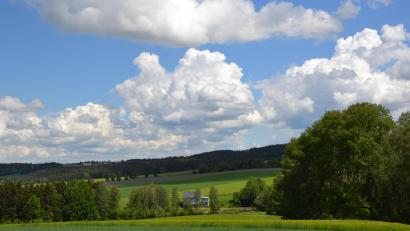 Bild: gi
Das Gemeindegrundstück in Nähe der Wirthsschleif soll Biotopverbundfläche werden und dem Artenschutz dienen.