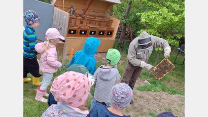 Bild: Sieglinde Schärtl
Der Imker zeigt die Wabe, die er aus dem Bienenstock geholt hat
