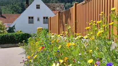 Bild: Markus Kurz/exb
Ein Werk der Gartler: Die neu angelegte Blühfläche in Oberauerbach.