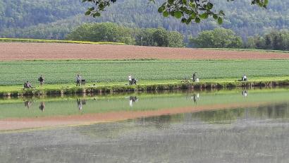 Bild: oe
Bestes Angelwetter gab es am Bühler Weiher.