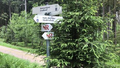 Bild: wro
Das Quellgebiet "Steinernes Brünnerl" liegt landschaftlich reizvoll im Naturpark Steinwald bzw. westlich von Fuchsmühl. Und in unmittelbarer Nähe befindet sich ein Kneipp-Tretbecken.