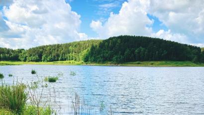 Bild: Evi Wagner
Der Eixendorfer Seeweg führt immer am Wasser entlang.