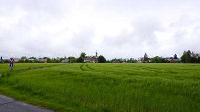 Bild: bkr
Das große Getreidefeld zwischen der Kirche und der Kulmainer Straße soll Baugebiet für einen Ortskern werden. Das Landratsamt lehnt es wegen der Nähe zu Trassl-Plastik ab. 150 Meter trennen an der nähesten Stelle das gewünschte Baugebiet und die Industrieanlage.
