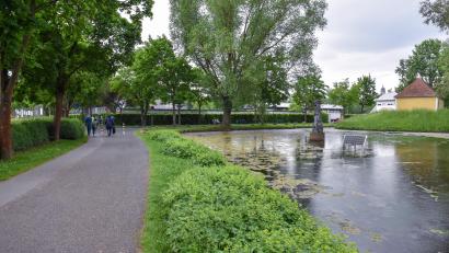 Bild: Stephan Huber
An diesem Weiher am Schanzl und somit in Nähe des Dultplatzes, auf dem gerade die Amberger Dult läuft, trafen die beiden Gruppen junger Männer erstmals aufeinander.
