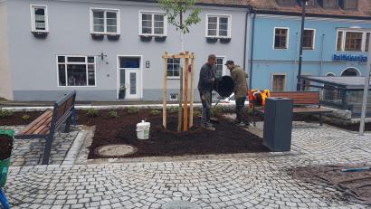 Bild: gi
Bald wird es grün am neuen Moosbacher Marktplatz. Gärtner einer Firma aus Cham haben 2000 Gehölze, Stauden und Gräser sowie Blumenzwiebeln gepflanzt.