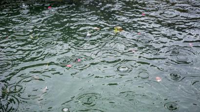 Bild: Daniel Vogl/dpa/Symbolbild
Regen tropft in einen Brunnen.