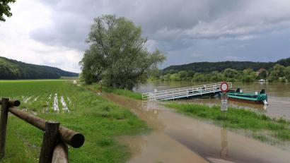 Bild: Petula Hermansky 
Die Hochwasserlage an der Donau bei Matting einem Ortsteil von Pentling im Landkreis Regensburg.Noch ist alles ruhig.