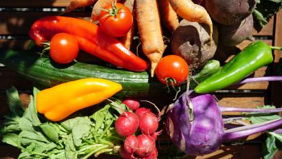 Bild: Dirk Kropp/pro Dente e.v.
Ein vermeintlicher Gemüsehändler griff in die Kasse des Kunden und klaute 50 Euro. Im Flur ließ der Unbekannte dann Waren zurück, die jedoch nicht dem Wert von 50 Euro entsprachen.