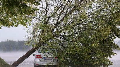 Symbolbild: Karl-Josef Hildenbrand/dpa
Ein vom Sturm entwurzelter Baum liegt auf dem Parkplatz eines Seniorenheims auf einem Autodach.