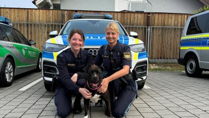 Bild: PI Neutraubling
Laura Fehr und Veronika Weck kümmerten sich gut um den herrenlosen schwarzen Staffordshire Terrier