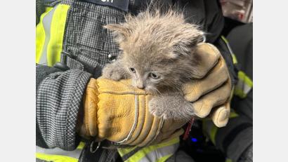 Bild: FF Spaichingen
Die Feuerwehr Spaichingen konnte ein Katzenbaby aus einem Fallrohr retten.