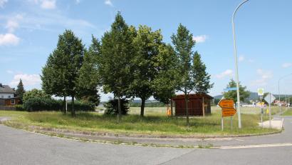 Bild: bjp
Ein kleiner Tummelplatz für Bienen, Schwebfliegen und andere Nutzinsekten soll auch bei der Bushaltestelle nahe der Siedlung Kurbersdorf entstehen. Auf vorerst vier Flächen will die Gemeinde die Pflanzen- und Kleintier-Artenvielfalt fördern. Ein Baumkataster wird es hingegen vorerst weiter nicht geben.