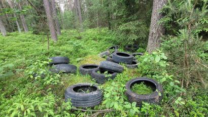 Bild: Rainer Knoll
Am Rande des Natur- und Vogelschutzgebietes beim Paulusweiher hat ein Unbekannter illegal alte Autoreifen entsorgt.