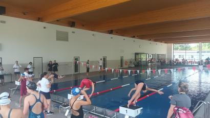 Bild: Sabine Dippold 
31 Schwimmerinnen starteten am Samstag in 13 verschiedenen Wettkämpfen.