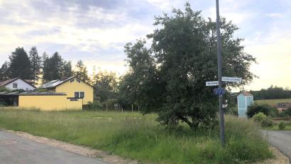 Bild: wro
Ausgiebig beschäftigte sich der Falkenberger Gemeinderat mit dem Baugebiet "Am Florian" (Bild). Hier soll künftig zeitgemäßes Bauen möglich sein.