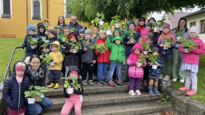 Bild: Magdalena Mensch/exb
Zahlreiche Waidhauser Kinder werden über den Sommer zu kleinen Gärtnern: Sie ziehen eigene Kürbisse heran.