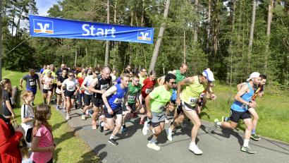 Bild: Hubert Ziegler
Start der Herren über 8500 m sowie der Damen und Jugendlichen über 4800 m beim Hahnenkammlauf in Edelsfeld.
