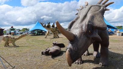 Bild: Kunz
Den Kopf tief auf Angriff gesenkt: der Stegosaurus.