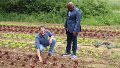 Bild: gru
Auf einem Feld erläuterte Hutzelhof-Geschäftsführer Jürgen Obermeier (links) dem Präfekten aus Bassam, Fare Bonfo, den biologischen Saatanbau.