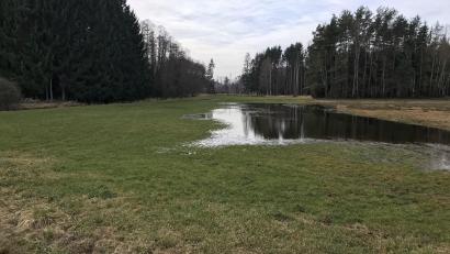 Bild: Stefanie Gradl
Bei Hochwasser überschwemmt die Vils bei Gressenwöhr regelmäßig die angrenzende Wiese. Hier soll nun ein Retentionsraum von 2500 Kubikmeter geschaffen werden, der der Stadt Vilseck für Ausgleichsmaßnahmen angerechnet wird.