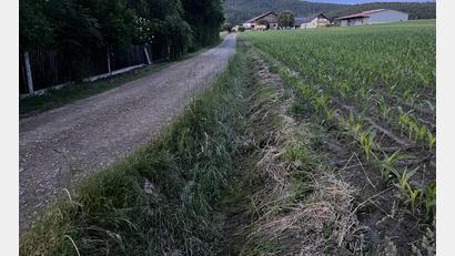 Bild: sns
Der Graben(Mitte) soll vergrößert und das Gefälle des Wirtschaftswegs zum Feld hin nach rechts verlegt werden, damit die Wassermassen nicht mehr links in das Wohngebiet fließen können.