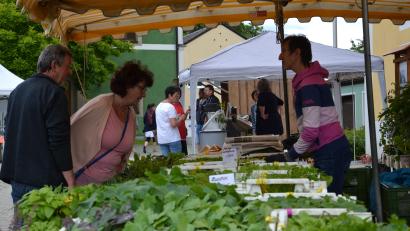 Bild: gi
Das Angebot beim ersten Regionalmarkt am Kirchplatz in Moosbach kommt bei den Kunden gut an.