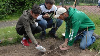 Bild: pop
Vor der Ernte müssen die Schüler erst einmal viel Arbeit und Geduld einbringen. "Ackercoaches" begleiten sie.