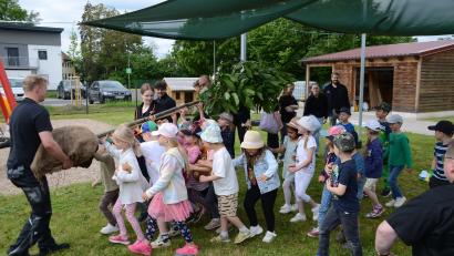 Bild: Arnold Koch/exb
Bei der Pflanz- und Lernaktion zwischen Siemens-Healthineers und der Kindertagesstätte in Speichersdorf halfen alle zusammen.