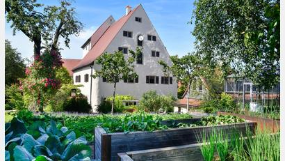 Bild: Petra Hartl
Rund um das "Obere Schloss" in Lintach hat sich Familie Kuhn den Traum vom Obst- und Gemüseanbau im eigenen Garten in mediterranem Stil erfüllt.