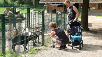 Archivbild: Götz
Der Wild- und Freizeitpark Höllohe im südlichen Landkreis ist ein Anziehungspunkt für junge Familien.