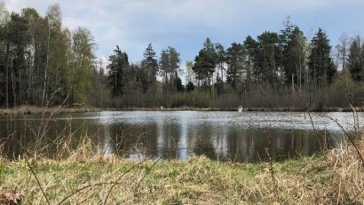 Bild: Dobler
Das Gebiet rund um den Eselweiher bietet einen Erholungsraum für Spaziergänger, Läufer, Radfahrer, Hobby-Naturkundlern, Angler und Stockschützen.