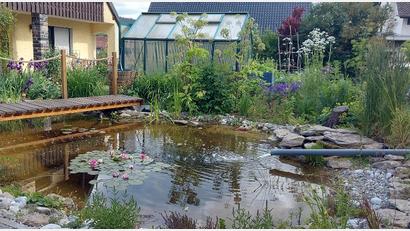 Bild: Doris Schwarz
Der Garten von Doris Schwarz in Waldershof (Landkreis Tirschenreuth) besticht mit einem großen Gartenteich und kann am 30. Juni besichtigt werden.