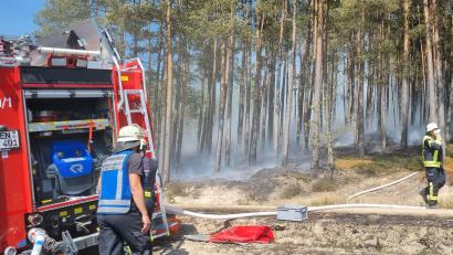 Archivbild: Feuerwehr Nabburg
Wald- und Feldbrände fordern die Feuerwehren immer häufiger.
