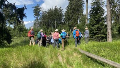 Bild: Steinwald-Allianz/exb
Die Tour „Der raue Steinwald – Wanderung zu Felsen und Mooren“ mit Referent Wolfgang Schödel besuchten insgesamt 30 Interessierte. Es war damit eine der beliebtesten Touren der Aktion „24 Stunden Steinwald erleben“.