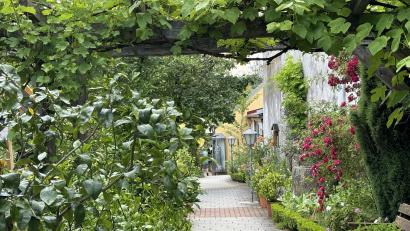 Bild: e
Der Kräutergarten ist eine Augenweide und bei Besuchern sehr beliebt.