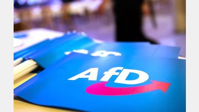Bild: Daniel Karmann/dpa
Der Verfassungsschutz darf nach einem Gerichtsurteil die AfD in Bayern beobachten.
