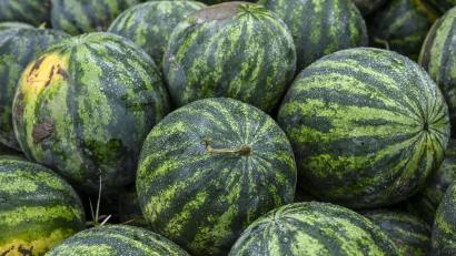 Archivbild: Jens Kalaene
Ein 86-Jähriger hat in Niederbayern versucht 30 Melonen zu stehlen.