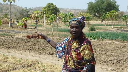 Bild: LAG Mali
Szene aus dem Garten von Mouroukorobougou. Ein Teil der Frauen hat schon mit der zweiten Anbauphase des Gemüses begonnen.