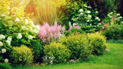 Symbolbild: Maria Kovalevskaya – stock.adobe.com
Im Garten blüht auch unsere Seele auf.