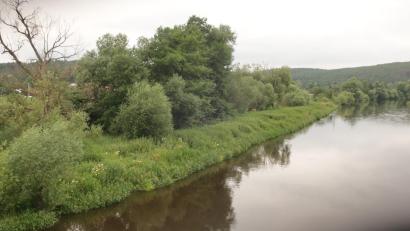 Bild: Hirsch
Die Naab tritt bei Brensdorf immer wieder über die Ufer. Nun sollen bauliche Maßnahmen das Dorf vor Hochwasser schützen.