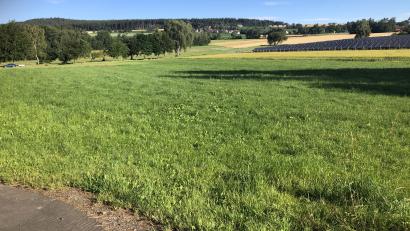 Bild: wro
Das neue Sport- und Freizeitgelände soll auf dem Grundstück unterhalb der beiden Solarparks (rechts) - zwischen Fuchsmühl und Güttern - entstehen. Die Fläche befindet sich im Norden des Waldbadeweihers.