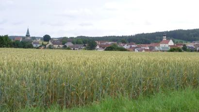 Bild: Josef Albrecht/exb
In Wildenau wurde der Schauerfeiertag begangen.