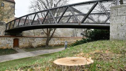 Bild: Petra Hartl
17,64 Meter misst der stählerne Basteisteg in Amberg. Rund 30 Jahre nach seiner Errichtung muss er schon wieder umfangreich saniert werden.